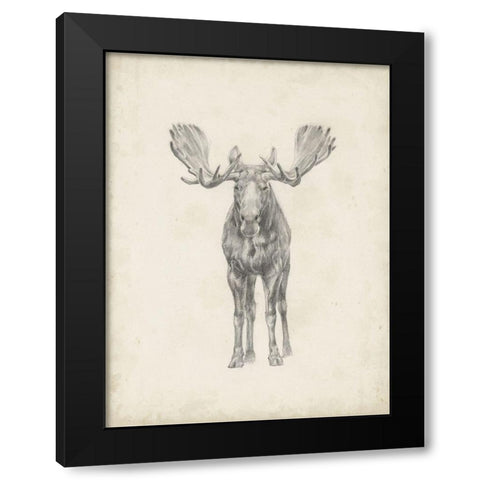 40x30 Custom Moose Study Black Modern Wood Framed Art Print with Double Matting by Harper, Ethan