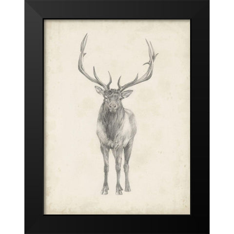 40x30 Custom Elk Study Black Modern Wood Framed Art Print by Harper, Ethan