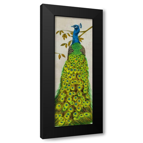 Vintage Peacock II Black Modern Wood Framed Art Print with Double Matting by Wang, Melissa