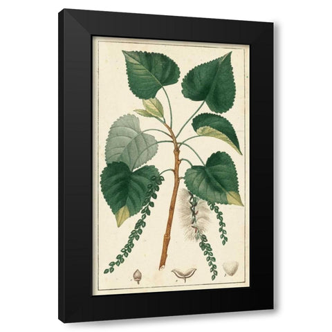 Turpin Poplar Tree  Black Modern Wood Framed Art Print with Double Matting by Turpin