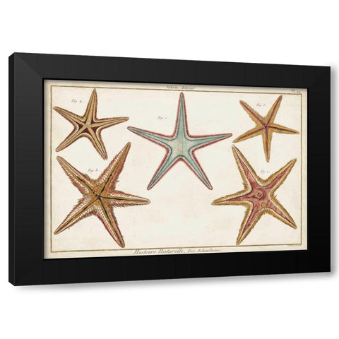 Starfish Naturelle I Black Modern Wood Framed Art Print by Diderot, Denis