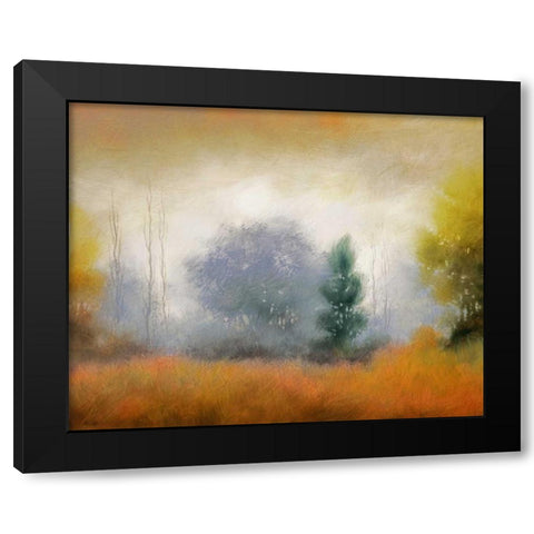 Hinterland 11 Black Modern Wood Framed Art Print with Double Matting by Dag, Inc.