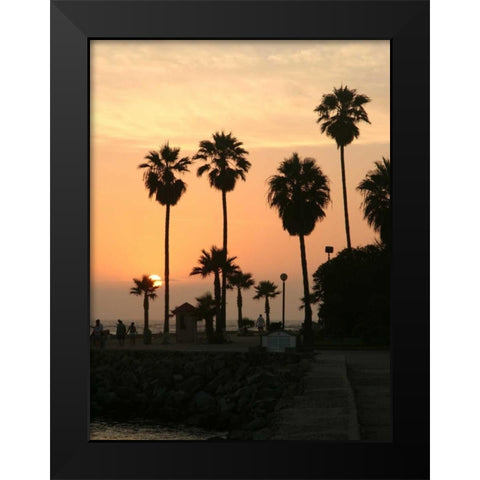 Photography/Landscape 122 Black Modern Wood Framed Art Print by Dag, Inc.