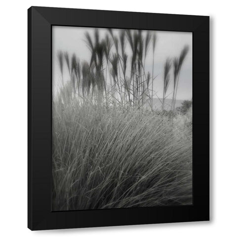 Photography/Landscape 180 Black Modern Wood Framed Art Print by Dag, Inc.