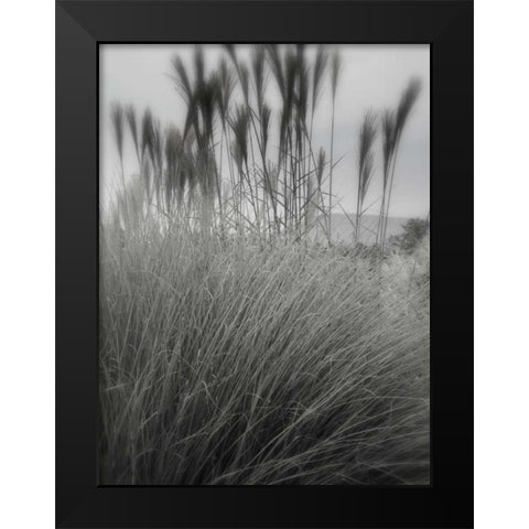 Photography/Landscape 180 Black Modern Wood Framed Art Print by Dag, Inc.