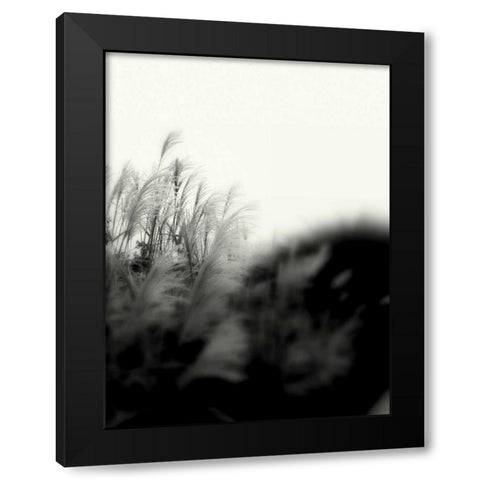 Photography/Landscape 181 Black Modern Wood Framed Art Print by Dag, Inc.