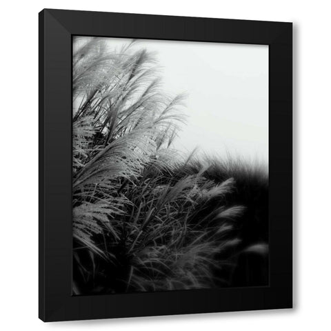 Photography/Landscape 182 Black Modern Wood Framed Art Print with Double Matting by Dag, Inc.