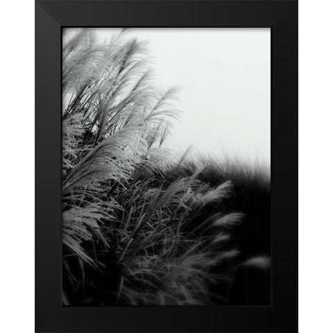 Photography/Landscape 182 Black Modern Wood Framed Art Print by Dag, Inc.
