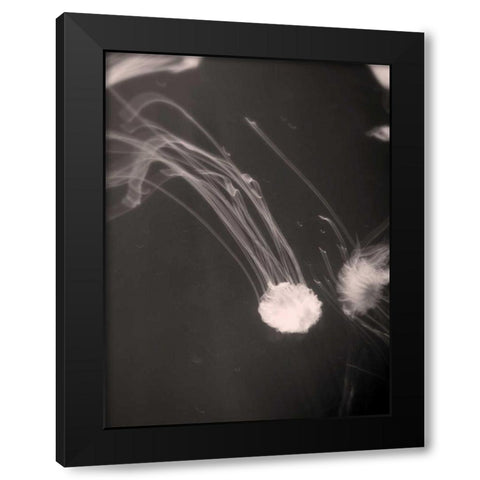 Underwater World 2 Black Modern Wood Framed Art Print by Dag, Inc.