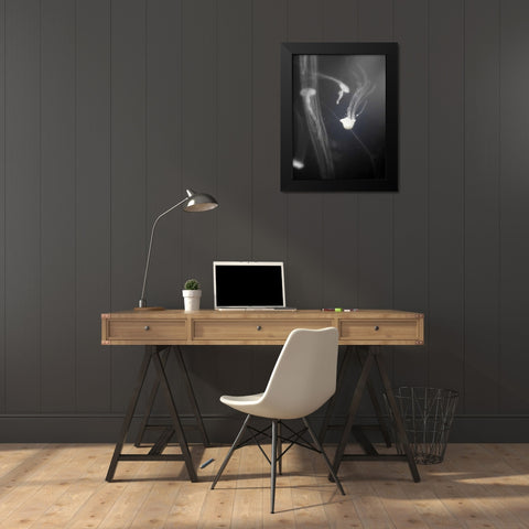 Underwater World 4 Black Modern Wood Framed Art Print by Dag, Inc.