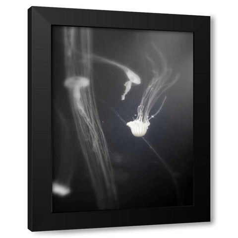 Underwater World 4 Black Modern Wood Framed Art Print by Dag, Inc.