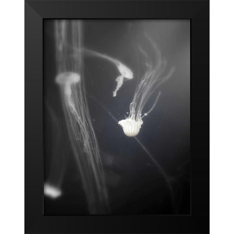 Underwater World 4 Black Modern Wood Framed Art Print by Dag, Inc.