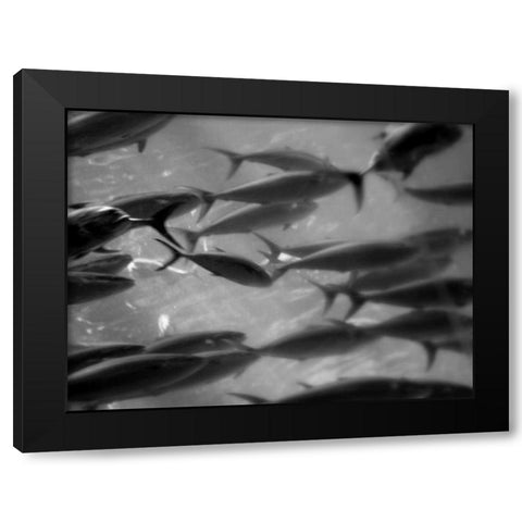 Underwater World 31 Black Modern Wood Framed Art Print by Dag, Inc.