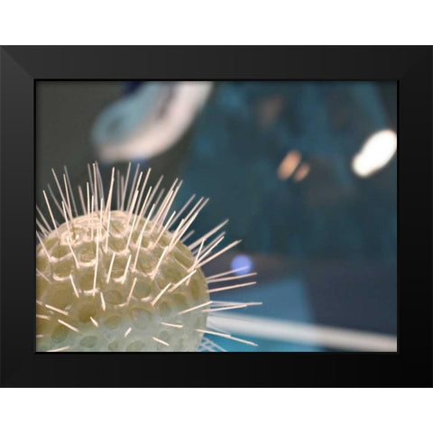 Underwater World 34 Black Modern Wood Framed Art Print by Dag, Inc.
