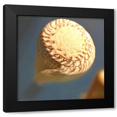 Underwater World 38 Black Modern Wood Framed Art Print by Dag, Inc.