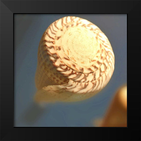 Underwater World 38 Black Modern Wood Framed Art Print by Dag, Inc.