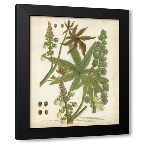 Weinmann Tropical Plants I Black Modern Wood Framed Art Print with Double Matting by Weinmann, Johann