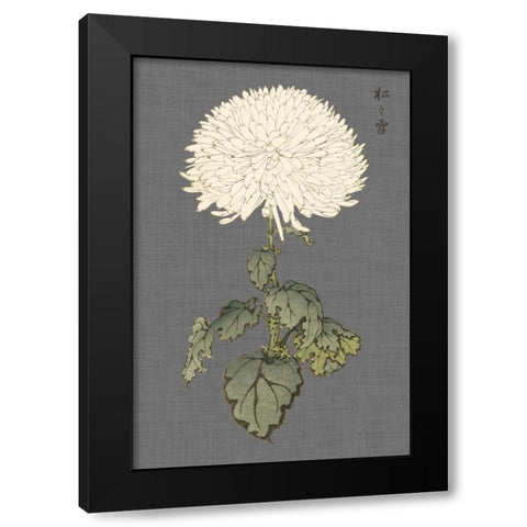 Dramatic Ivory Mums I Black Modern Wood Framed Art Print with Double Matting by Vision Studio