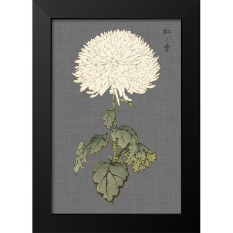 Dramatic Ivory Mums I Black Modern Wood Framed Art Print by Vision Studio