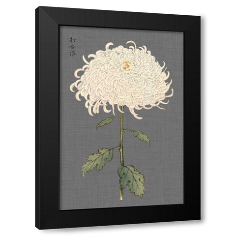 Dramatic Ivory Mums II Black Modern Wood Framed Art Print with Double Matting by Vision Studio