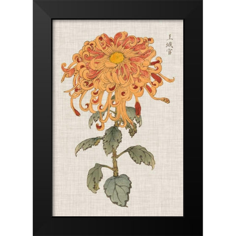 Vibrant Mums I Black Modern Wood Framed Art Print by Vision Studio