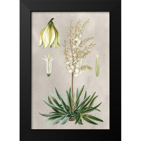 Tropical Varieties I Black Modern Wood Framed Art Print by Bessa, Pancrace