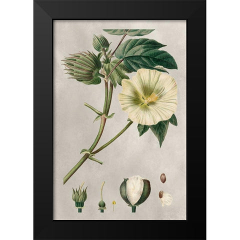 Tropical Varieties II Black Modern Wood Framed Art Print by Bessa, Pancrace