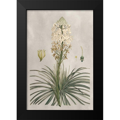 Tropical Varieties III Black Modern Wood Framed Art Print by Bessa, Pancrace