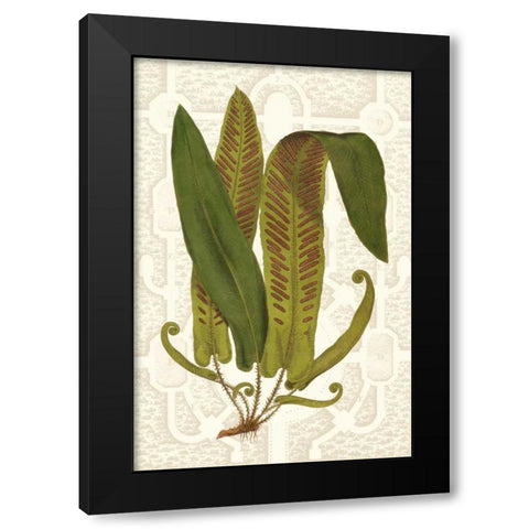 Garden Ferns I Black Modern Wood Framed Art Print by Vision Studio