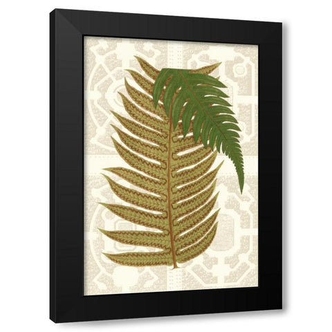 Garden Ferns II Black Modern Wood Framed Art Print with Double Matting by Vision Studio