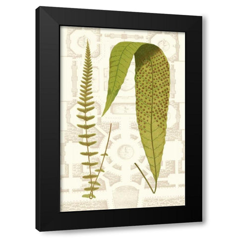 Garden Ferns III Black Modern Wood Framed Art Print by Vision Studio