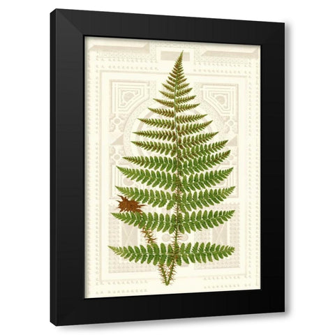 Garden Ferns V Black Modern Wood Framed Art Print by Vision Studio