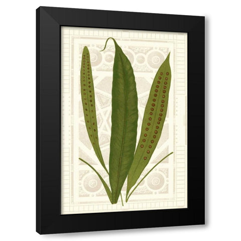 Garden Ferns VI Black Modern Wood Framed Art Print with Double Matting by Vision Studio