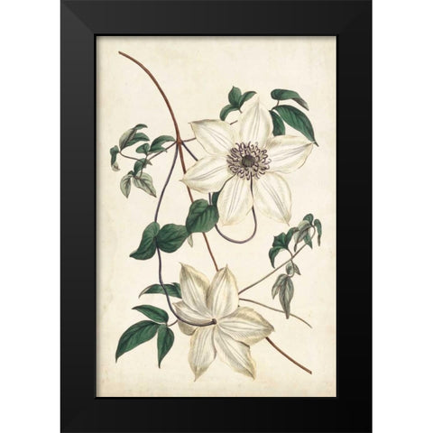 Ivory Garden II Black Modern Wood Framed Art Print by Curtis