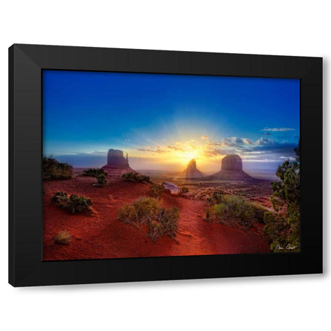 Pink Morning Glory I Black Modern Wood Framed Art Print with Double Matting by Drost, David