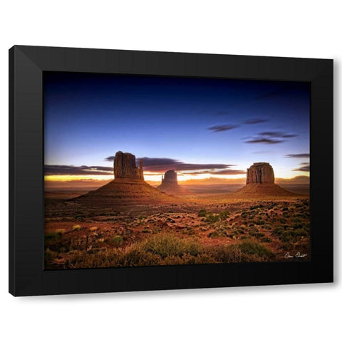 Pink Morning Glory II Black Modern Wood Framed Art Print by Drost, David