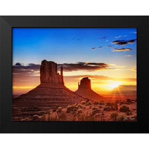 Pink Morning Glory III Black Modern Wood Framed Art Print by Drost, David