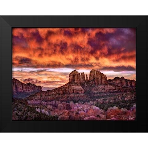 Pink Morning Glory IV Black Modern Wood Framed Art Print by Drost, David