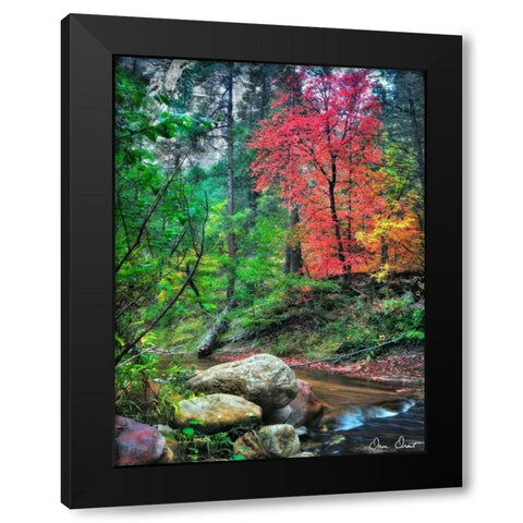 Peaceful Woods II Black Modern Wood Framed Art Print by Drost, David