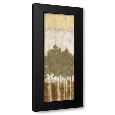 Natures Quartet II Black Modern Wood Framed Art Print by Saunders, Alonzo