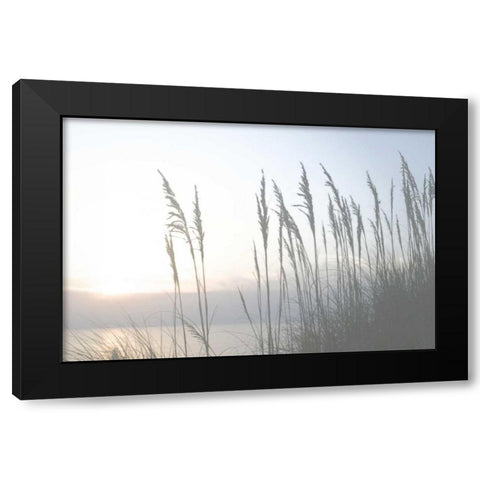 Morning Whisper II Black Modern Wood Framed Art Print by Chandler, Sharon