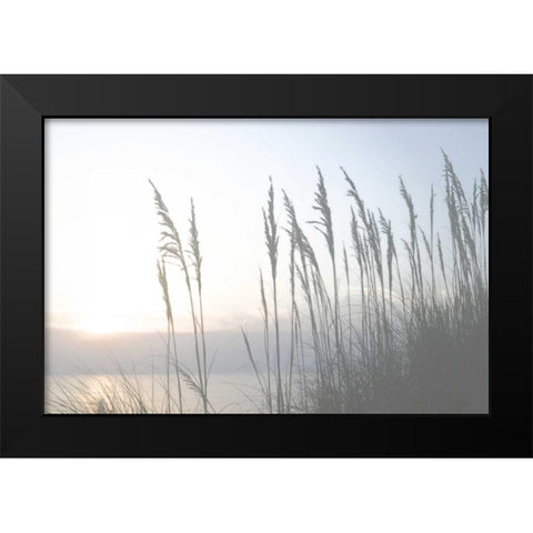 Morning Whisper II Black Modern Wood Framed Art Print by Chandler, Sharon
