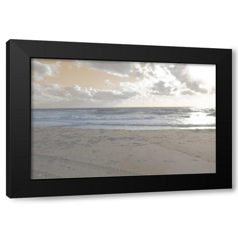 Serene Sea II Black Modern Wood Framed Art Print by Chandler, Sharon