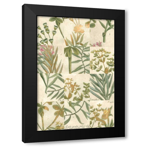 Garden Grid II Black Modern Wood Framed Art Print by Weinmann, Johann