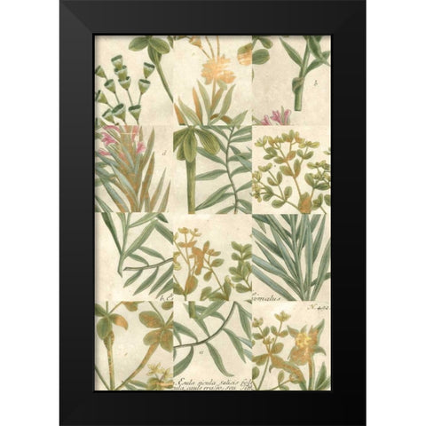 Garden Grid II Black Modern Wood Framed Art Print by Weinmann, Johann