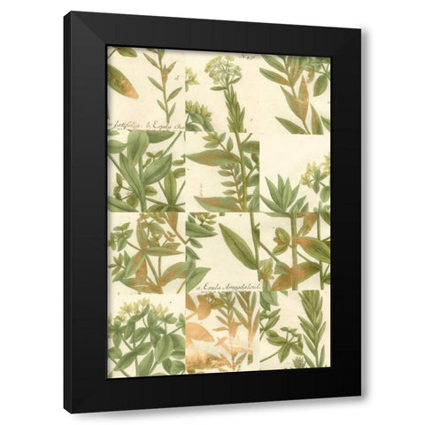 Garden Grid III Black Modern Wood Framed Art Print by Weinmann, Johann
