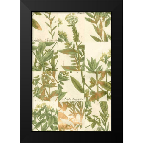 Garden Grid III Black Modern Wood Framed Art Print by Weinmann, Johann