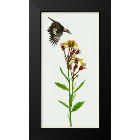 Tephroseris Flammea I Black Modern Wood Framed Art Print by Wang, Melissa