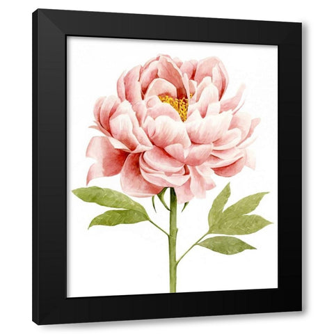 Watercolor Peony II Black Modern Wood Framed Art Print by Popp, Grace