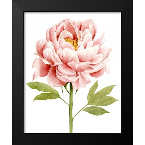 Watercolor Peony II Black Modern Wood Framed Art Print by Popp, Grace